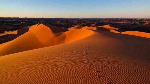 Dunes de sable du désert de Taghit